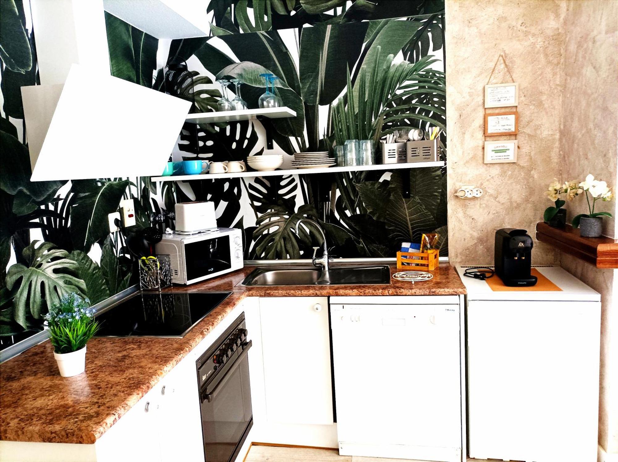 Apartamento Alba ハカ エクステリア 写真