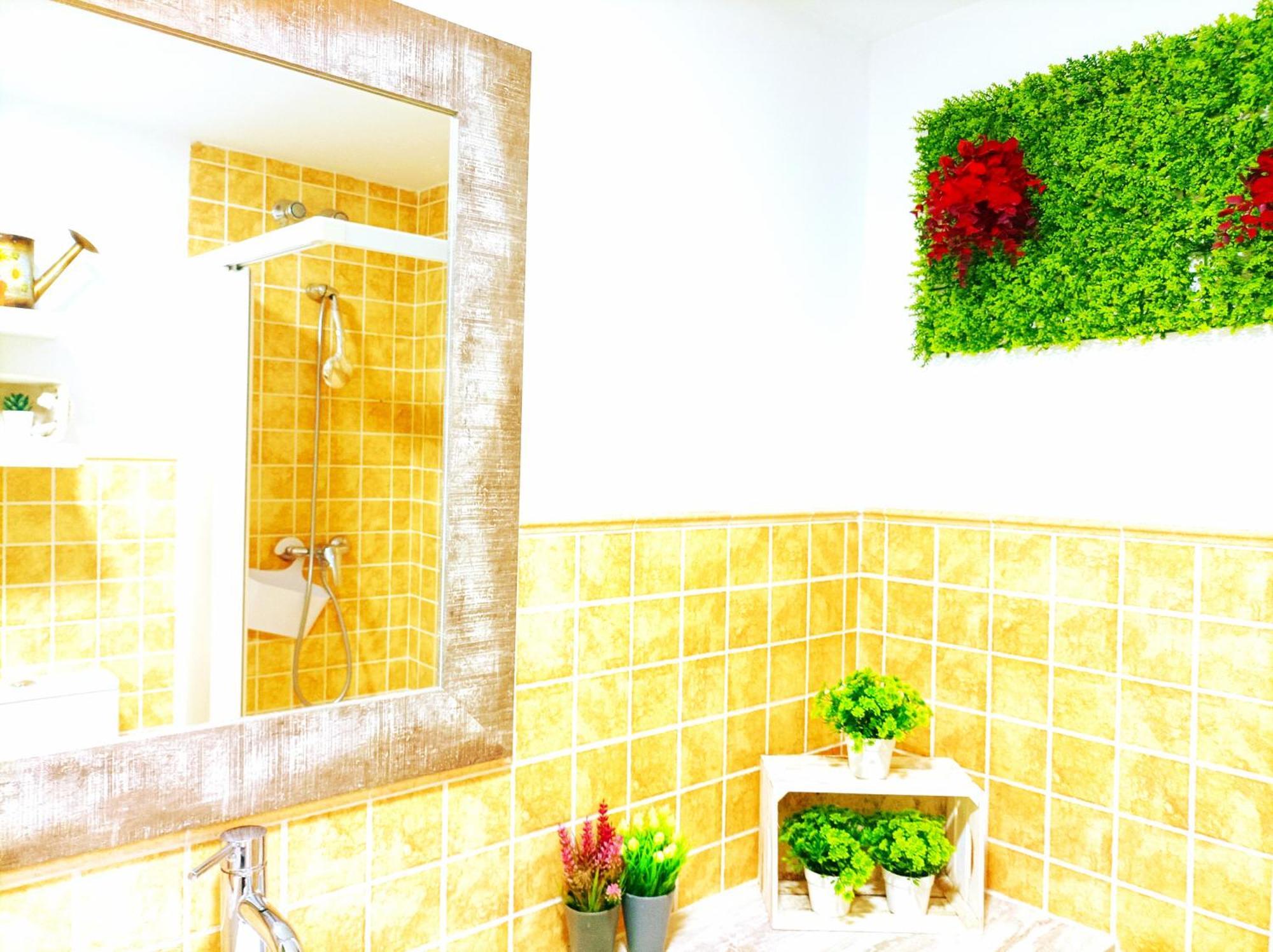 Apartamento Alba ハカ エクステリア 写真